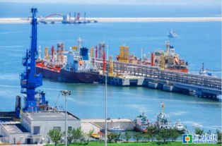 恒力股份著力推進(jìn)煉化一體化項(xiàng)目建設(shè) 謀求多方共贏(yíng)