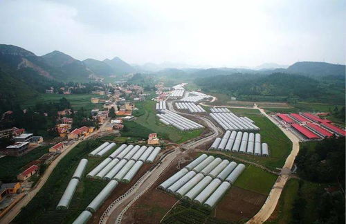 山海相連共筑夢——大連產(chǎn)業(yè)助力六盤水脫貧攻堅(jiān)紀(jì)實(shí)