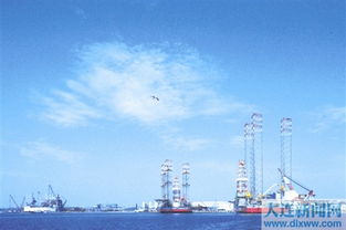 大連灣臨海裝備制造業聚集區順利通過遼寧省知名品牌創建示范區驗收